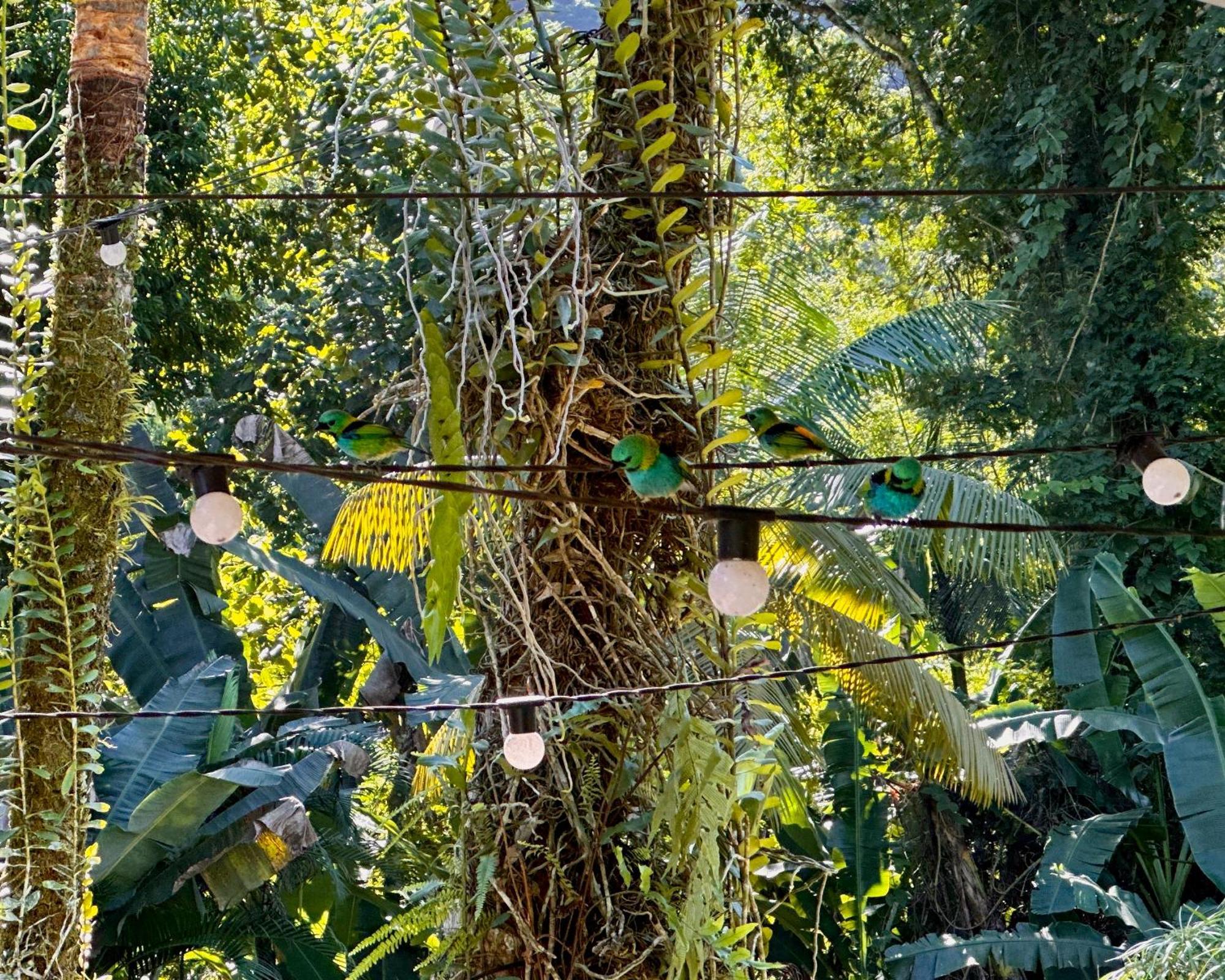 Casa Park Paraty