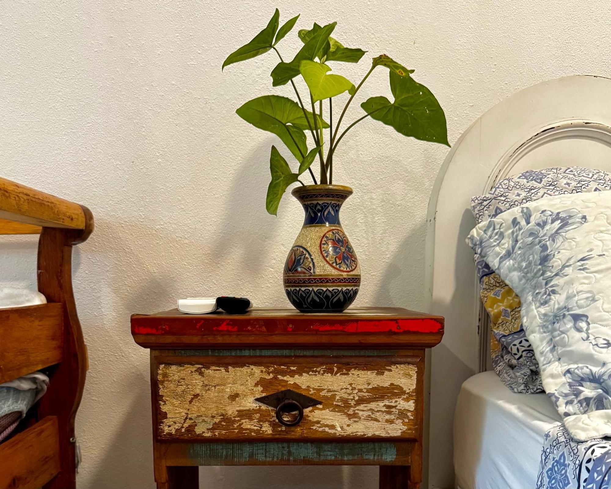Casa Park Lodge Paraty