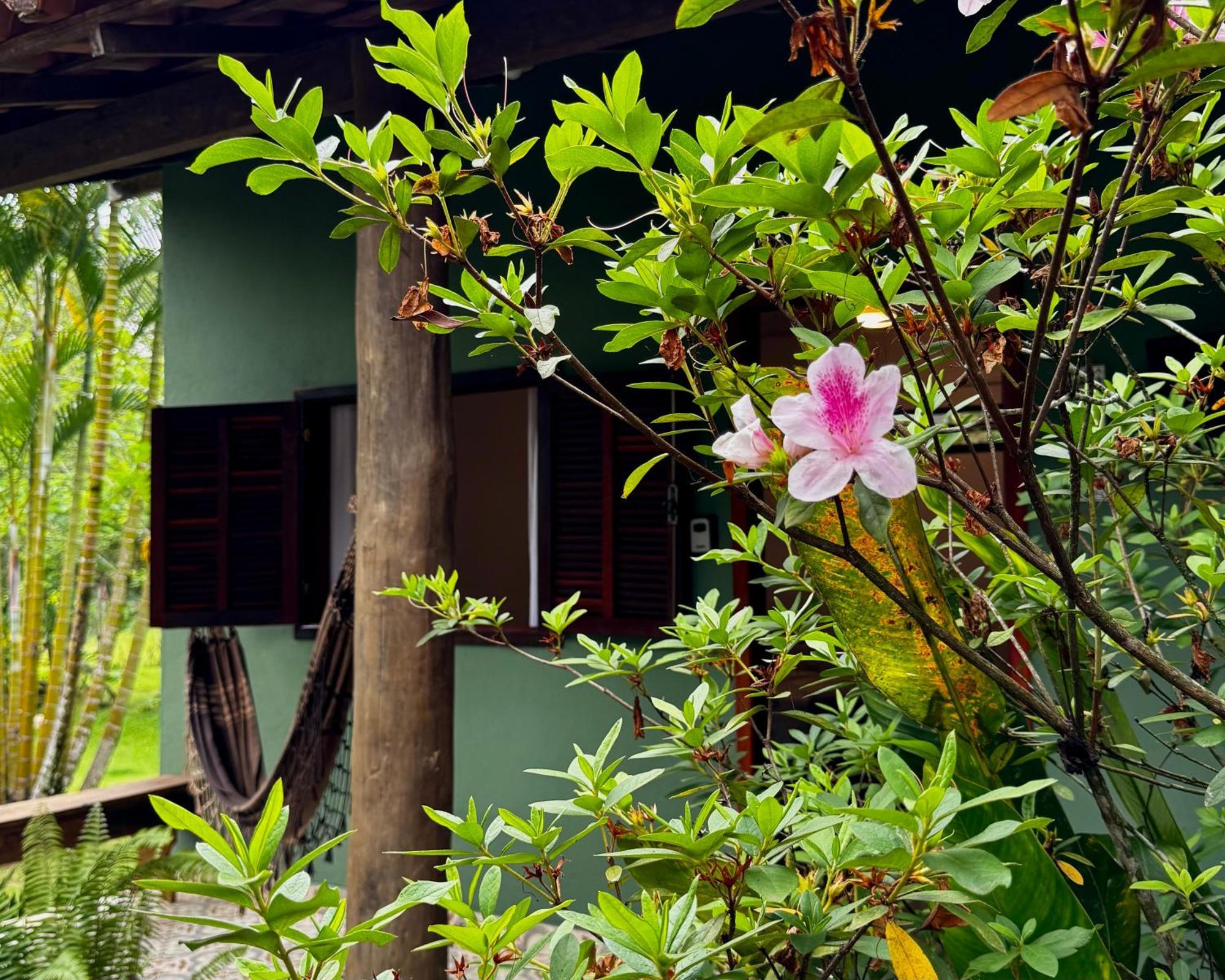 Lodge Casa Park *